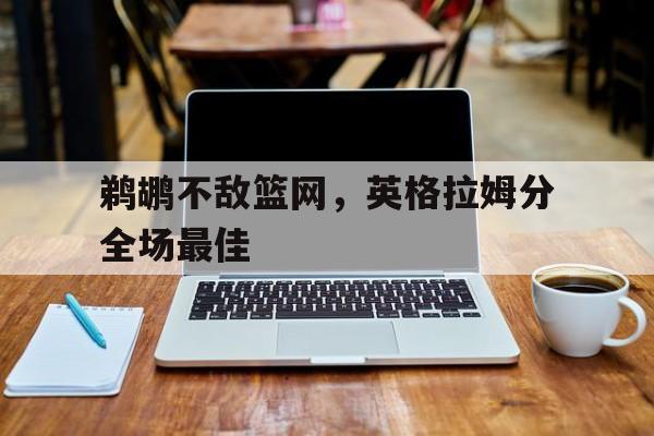 鹈鹕不敌篮网，英格拉姆分全场最佳